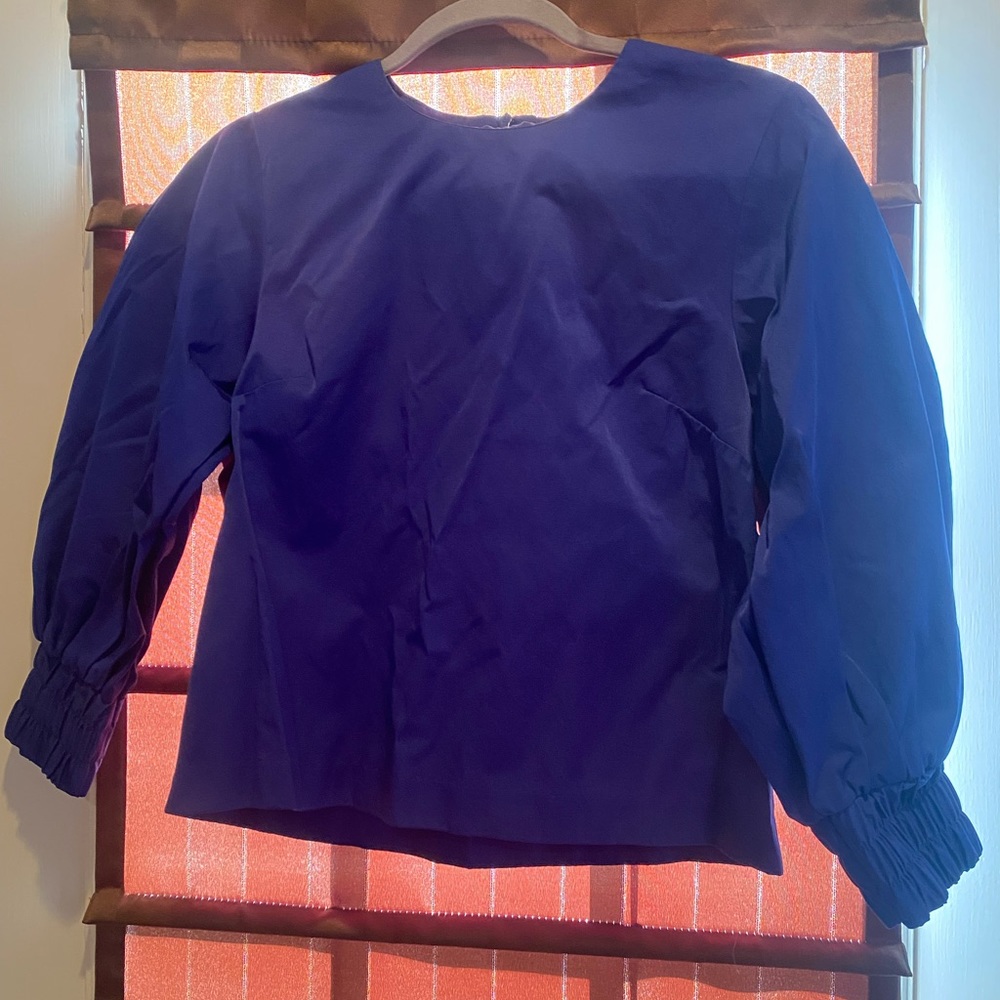 Violet blue long sleeve Zara top, size s